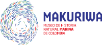 Logo museo